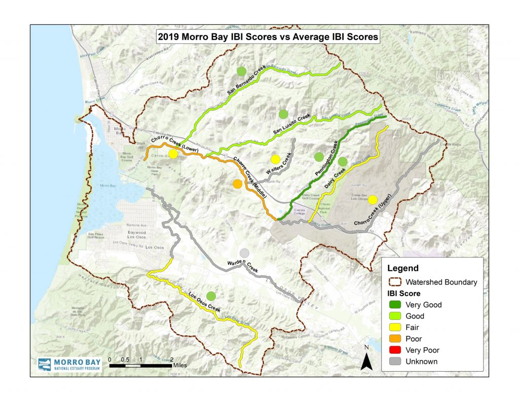 The color coded creek segments show the 2019 score for each creek. The dot next to each creek represents the average of scores from 1994 to 2019.