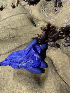 A blue glove lies on rock at beach
