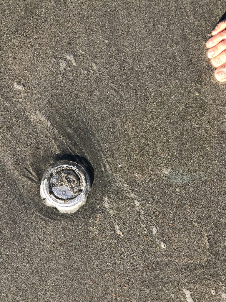 Plastic container in the sand