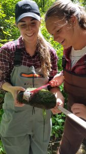 Two volunteers wear waders and dark red plaid shirts. The one on the left holds an algae-covered rock that is about 12 inches long. The volunteer on the right uses a red ruler to measure the width of the rock.