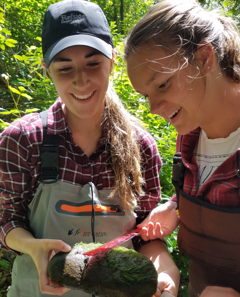 Two volunteers wear waders and dark red plaid shirts. The one on the left holds an algae-covered rock that is about 12 inches long. The volunteer on the right uses a red ruler to measure the width of the rock. The data that they collect will be used to calculate the overall bioassessment survey results for the year.