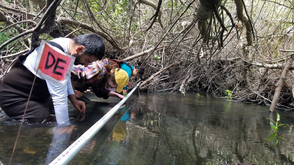 Staff and volunteers collect data on the habitat available for bugs and fish. The data will be used to calculate the bioassessment survey results for this section of the stream.