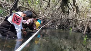 Staff and volunteers collect data on the habitat available for bugs and fish.