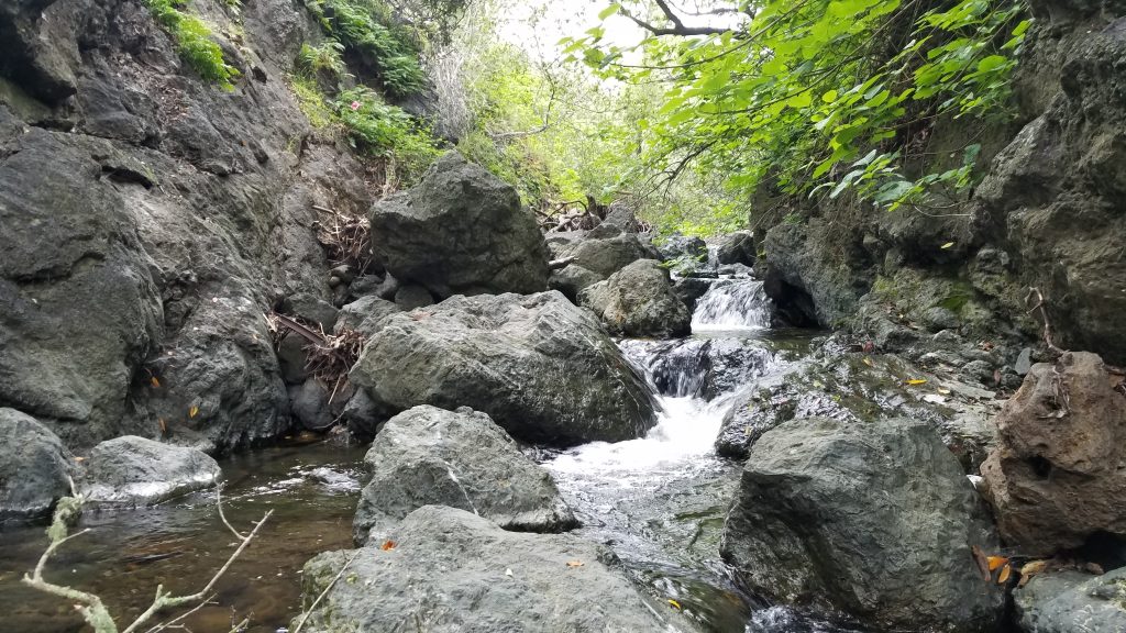 Pennington Creek cascades down a series of rocks, making it look like a series of miniature waterfalls. Boulders border the creek on either side. The water goes from clear and calm to white and wild as it runs over each submerged rock. 