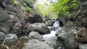 Pennington Creek cascades down a series of rocks, making it look like a series of miniature waterfalls. Boulders border the creek on either side. The water goes from clear and calm to white and wild as it runs over each submerged rock.