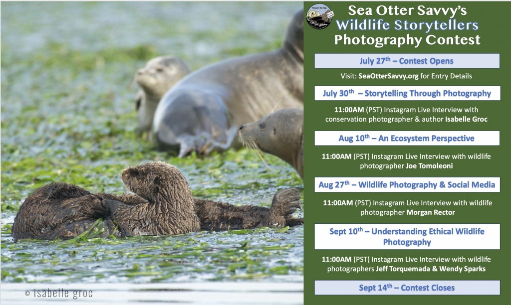 Wildlife Storytelling Photograph Contest Flyer