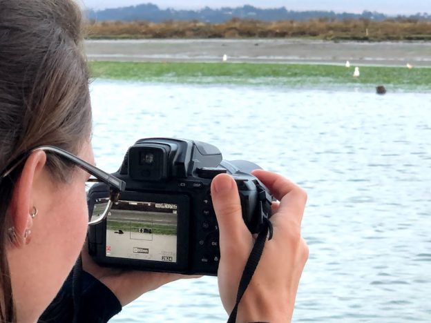 You can make a difference by following ethical wildlife photography practices and scrutinizing wildlife photos carefully for signs of disturbance. Photo by Gena Bentall.