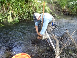 Blake scrubs the rocks and stirs up the bottom of the creek in the area in front of the D-frame kick net to collect a macroinvertebrate sample, all the while maintaining social distance and wearing a mask.