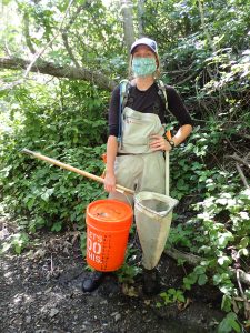 It took a bit to adjust to wearing facial coverings in the field, but we discovered some unexpected advantages! On this survey in Los Osos Creek, masks protected half of our faces from surprise encounters with poison oak.