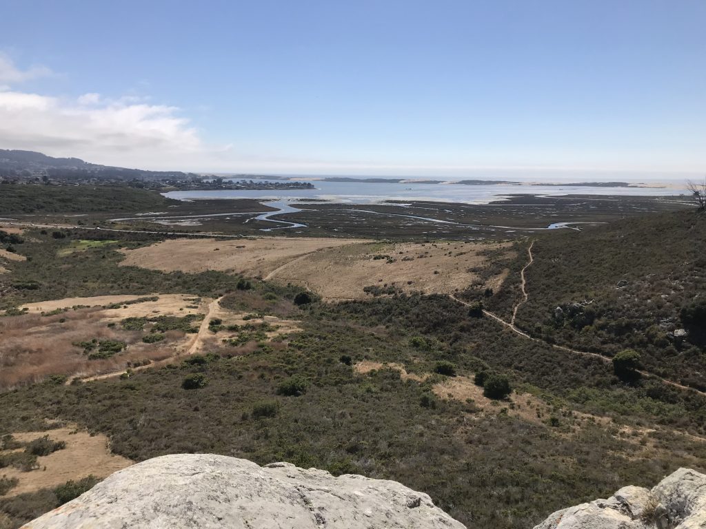 The Morro Bay estuary as seen from upper Morro Bay State Park. 