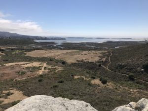 The Morro Bay estuary as seen from upper Morro Bay State Park.