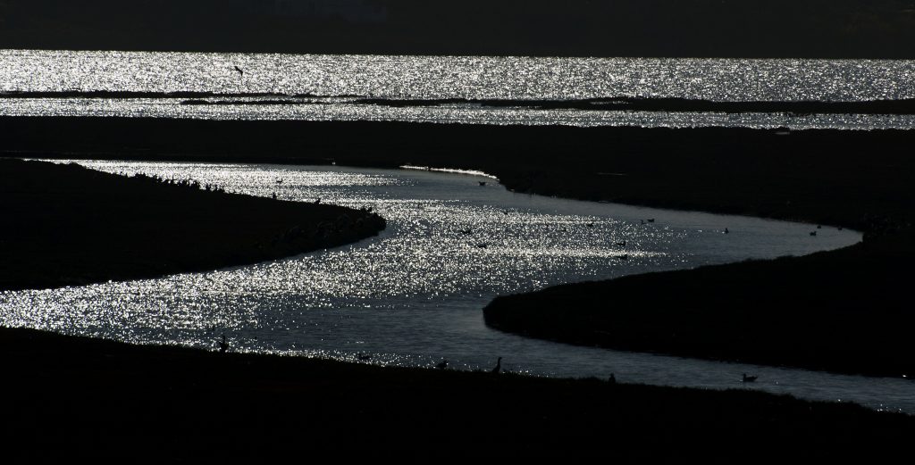 Estuary Channels