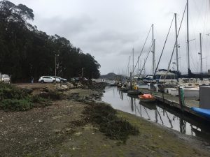 State Park Marina is a popular access point near the Morro Bay State Park Campground with boat moorings, a boardwalk trail, a kayak launch area, and a restaurant. The parking lot is heavily used, and it is beginning to show its age.