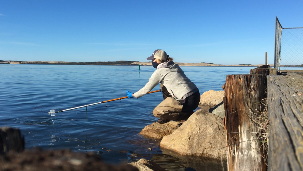 Bacteria sampling in Morro Bay.