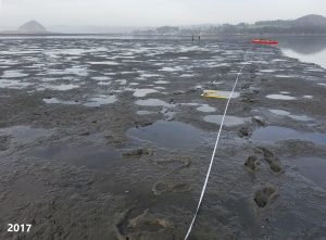 This photo shows an eelgrass monitoring site from 2017. No eelgrass was recorded during this survey.