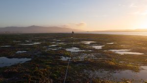 Sunset monitoring eelgrass in Morro Bay.