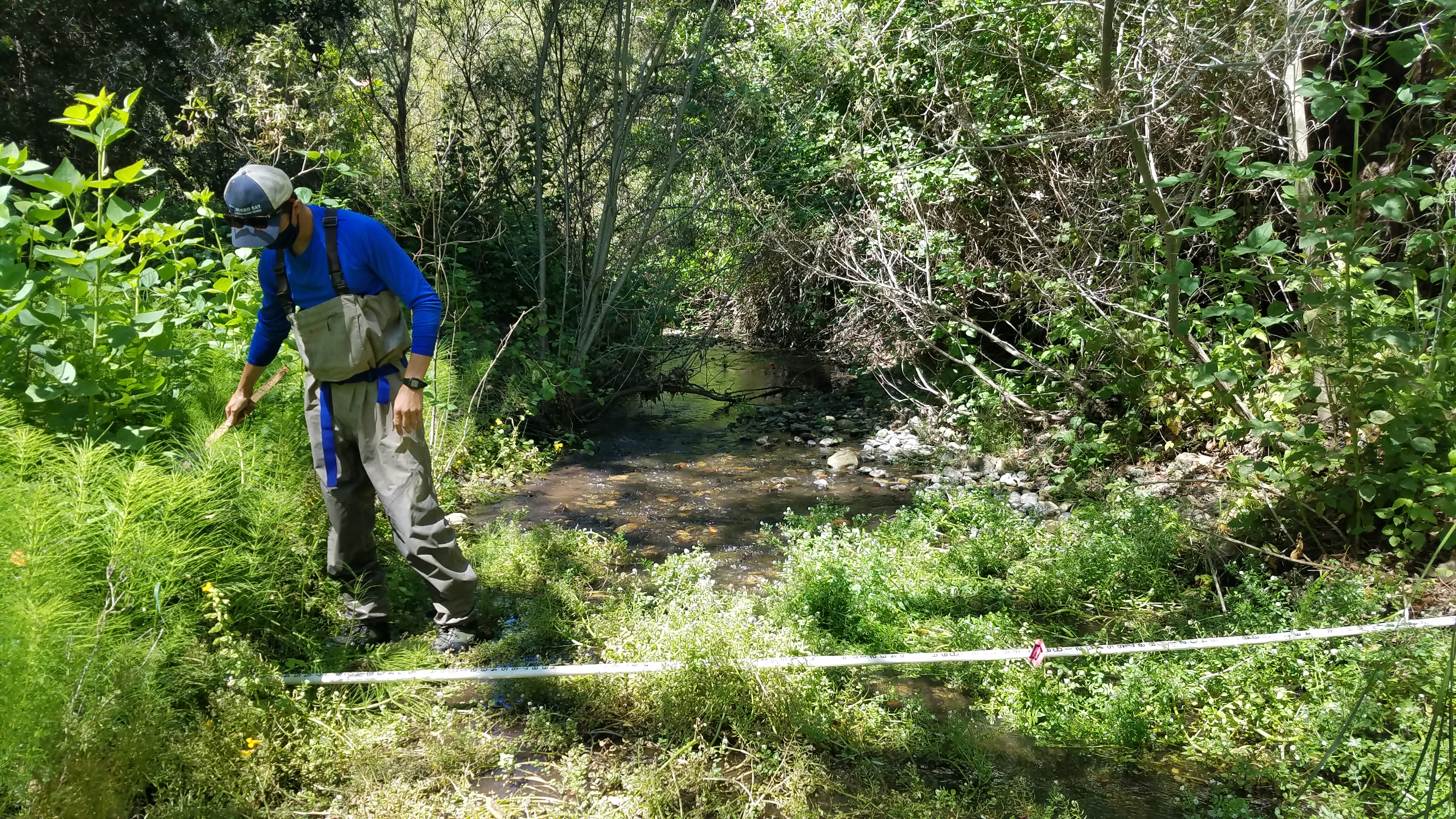 Our former field technician, Blake, measures the wetted width of a stream.