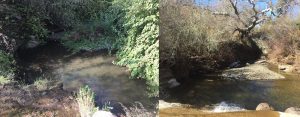 One monitoring site near Clark Valley Road in Los Osos shows new sediment deposition after January’s high flows.