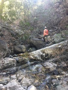 Monitoring staff conducts bioassessment site scouting in the Morro Bay watershed