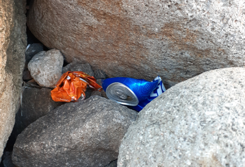 Bar cans crushed and shoved between rocks in the rip rap.