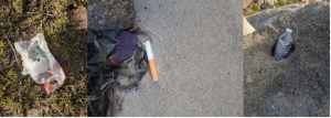 mask, cigarette butt, and water bottle all on or near the beach.