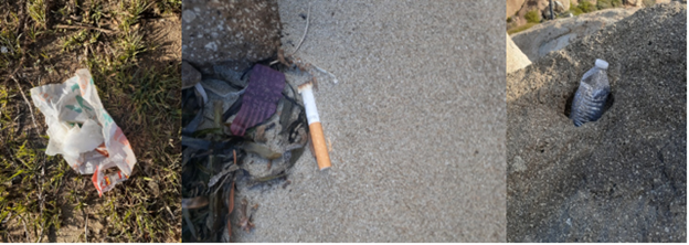 mask, cigarette butt, and water bottle all on or near the beach.