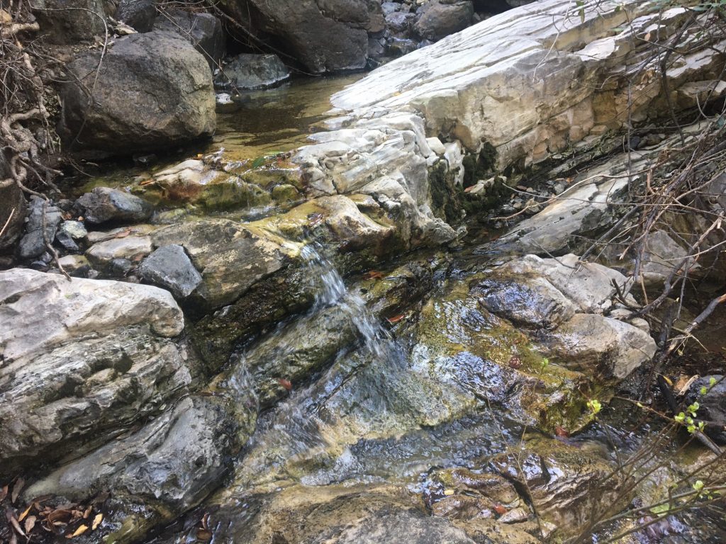 Cool, clear water runs over bedrock at Upper Pennington Creek. 