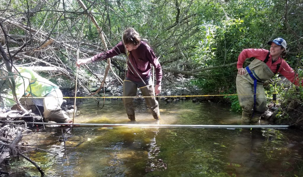 This photo shows volunteers and staff working together to collect bioassessment data during a 2017 survey on Dairy Creek.