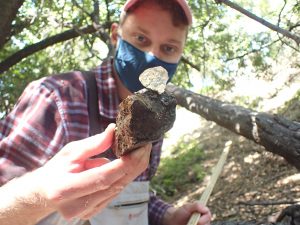 Monitoring Projects Manager, Bret, measures the intermediate axis of a rock, which happened to have a California Newt egg mass attached to it.