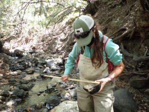 Monitoring Projects Manager, Karissa, measures the intermediate axis of a cobble during substrate classification.