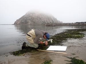 Ryan, a fisheries technician for the AmeriCorps Watershed Stewards Program, assists with monitoring at Coleman Beach