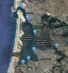 Map of Dr. Bockmon’s sampling locations in Morro Bay. Map sourced from Google Maps.