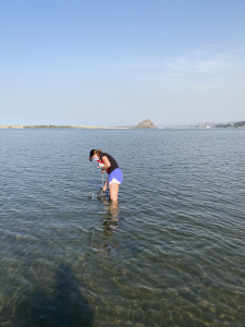 A student researcher wades into the water to collect a sample using a Niskin bottle.