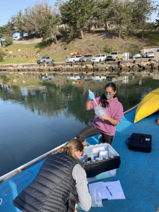 Student researchers collect water samples from a dock in Morro Bay. These samples will be tested in the chemistry lab. Photograph courtesy of Dr. Emily Bockmon.