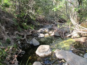 Creek with rocks_Morro Bay National Estuary Program