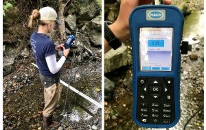 Staff have continued to monitor flow at sites with measureable flow, although many sites are becoming too low to accurately measure. This photo shows Monitoring Coordinator, Makenzie recording low flow at Pennington Creek.