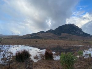 Chorro Creek Ecological Reserve Floodplain