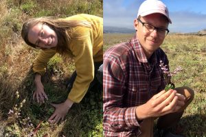 The monitoring training paid off! Carolyn and Bret have successfully identified and removed their first invasive sea lavender plants