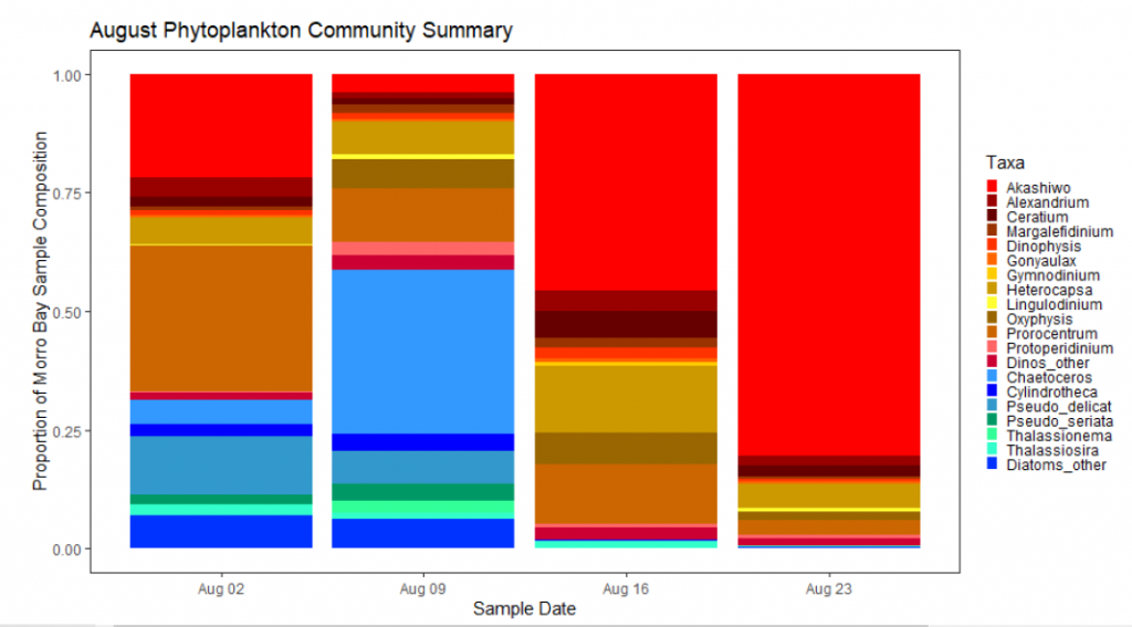 The graph shown above shows proportions of phytoplankton species present in samples from Morro Bay from August 2 to August 23. The red bar indicates presence of the phytoplankton dinoflagellate called Akashiwo sanguinea which is believed to be the culprit for the recent red tide. 