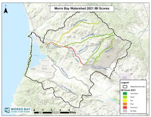 The color of the creek indicates the 2021 score: green is “Good,” yellow is “Fair,” orange is “Poor,” and red is “Very Poor.” For creeks with more than one site, the scores for 2021 were averaged into a single score. For Chorro Creek, we divided the creek into upper, middle, and lower sections.