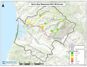 Each dot on the map represents historic data from 1995 to 2020, while the color of the creek represents the 2021 score. This year’s scores tended to be lower than their historic average. For example, San Bernardo historically scores as Good (represented by the green dot) but the 2021 score fell into the Fair category. These lower-than-average scores are thought to be due at least in part to below average rainfall this past winter.