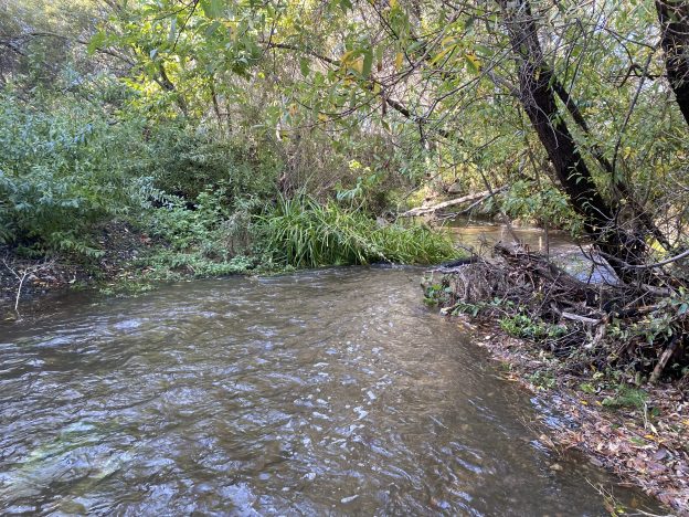 A full stream runs after the October 2021s storm.