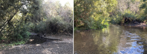 Chorro Creek before and after the storm