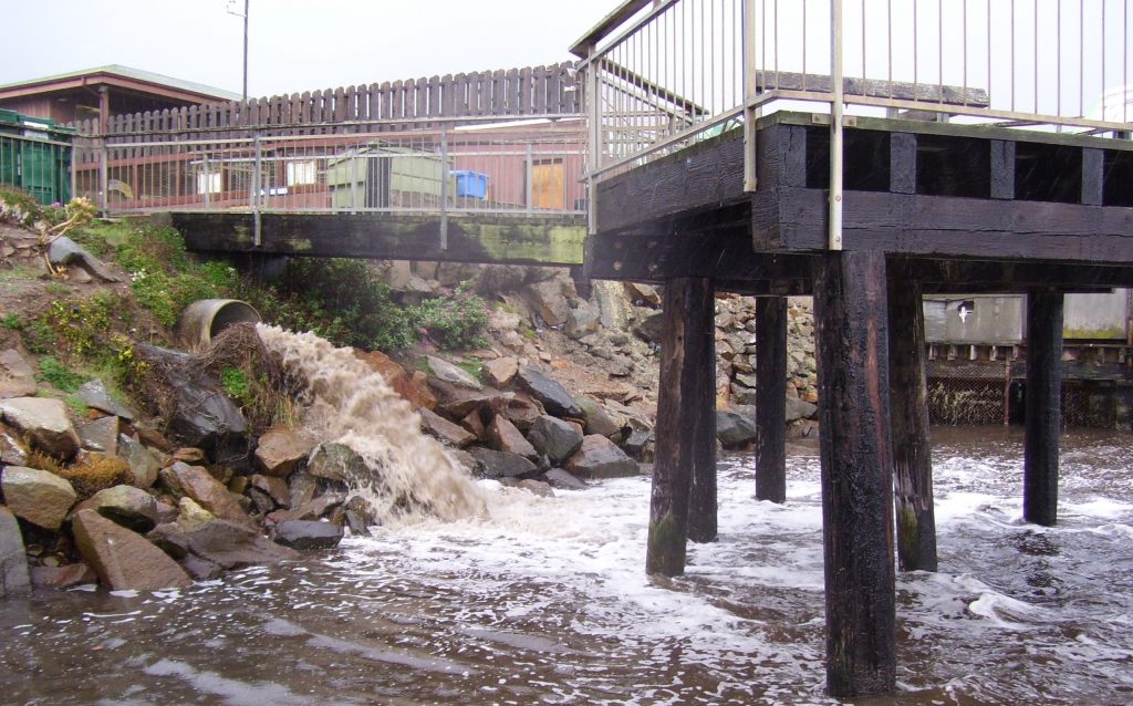 The first rainfall of the year often pushes accumulated pollutants downstream. This photo shows a storm drain that flows into the bay at the end of Marina Street on the Embarcadero.