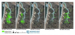 Eelgrass habitat extent from 2007 to 2020, showing eelgrass decline and recent partial recovery.