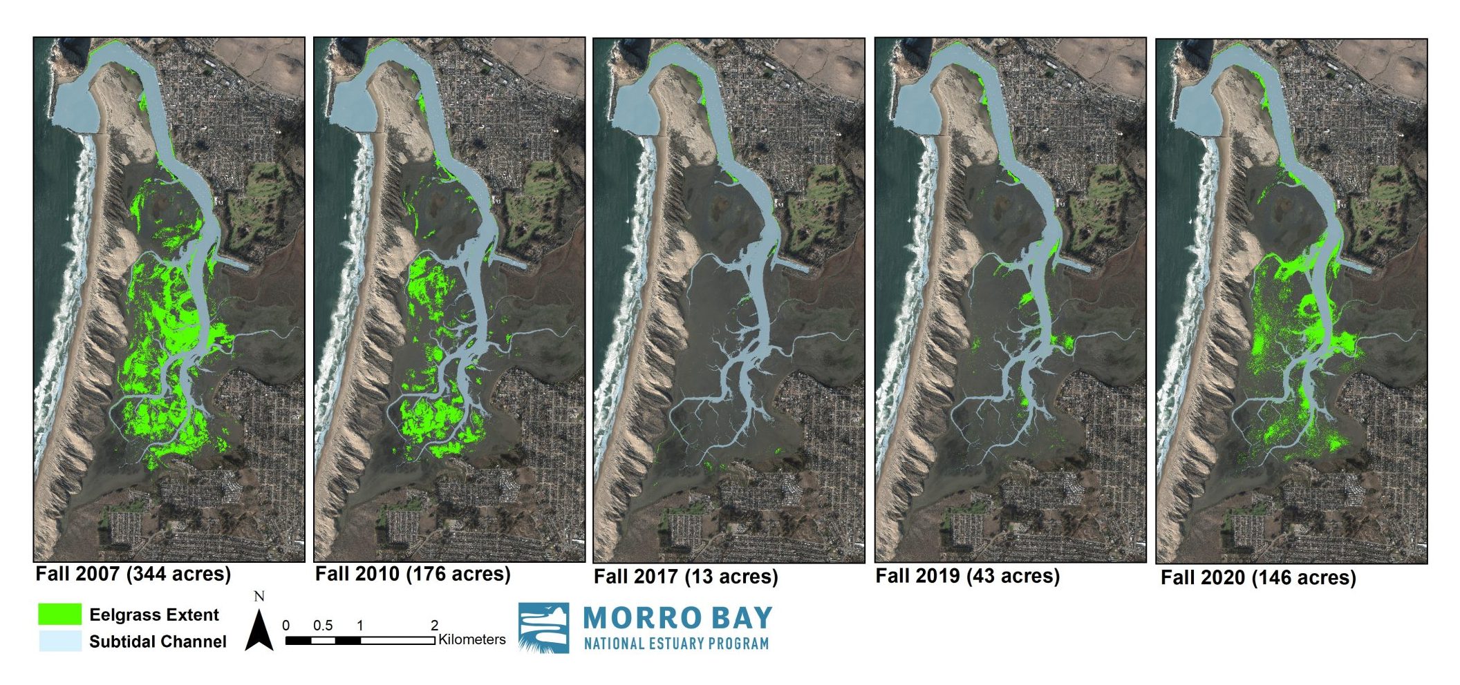 Eelgrass habitat extent from 2007 to 2020, showing eelgrass decline and recent partial recovery. 