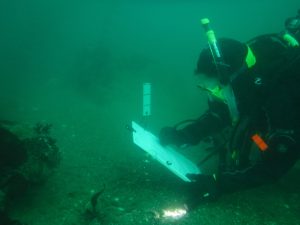 In addition to volunteering with the Estuary Program, John and Pam also contribute volunteer hours towards other organizations This photo shows the team during a sea star census survey for Multi-Agency Rocky Intertidal Network (MARINe).