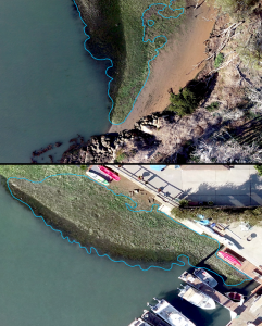 Screenshots taken during the process of outlining eelgrass beds depict the benefits of high-resolution imagery. The image at the top was taken north of Fairbank Point and the image below is from the end of Sandpiper Lane in Morro Bay.