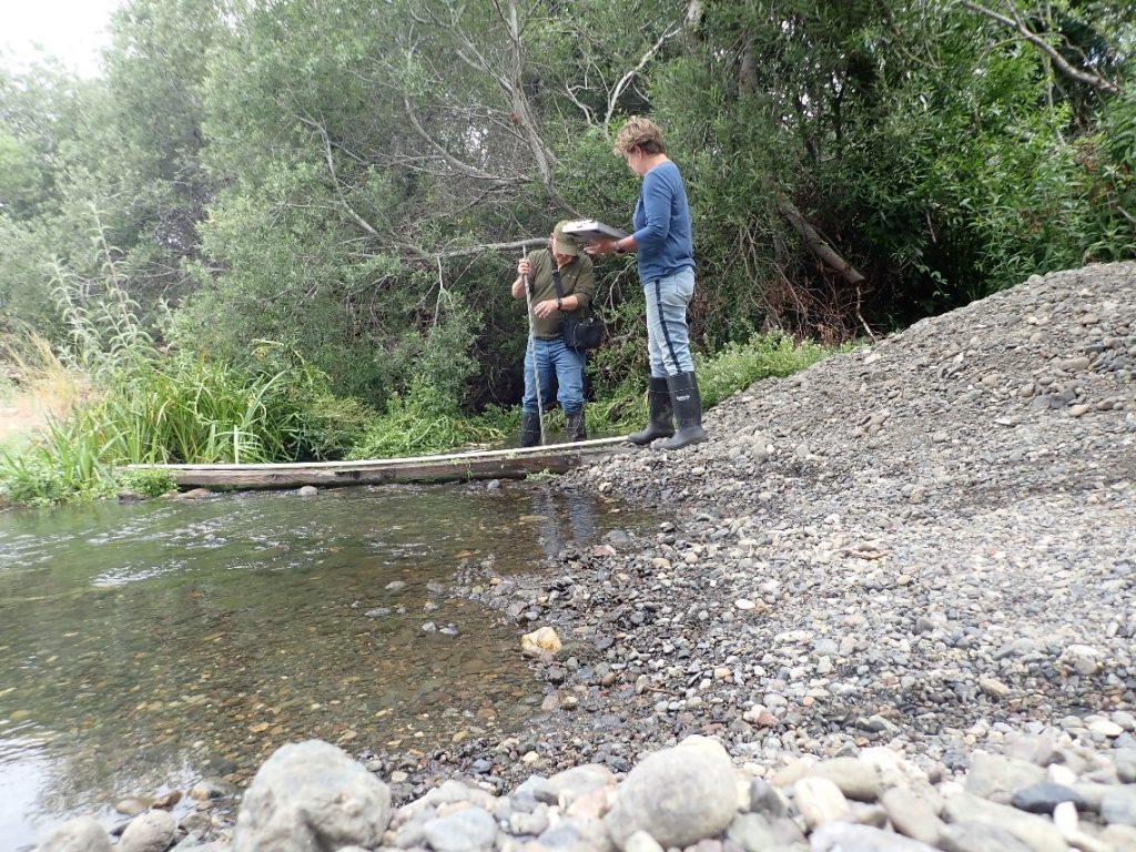 Volunteers collecting data on Chorro Creek.