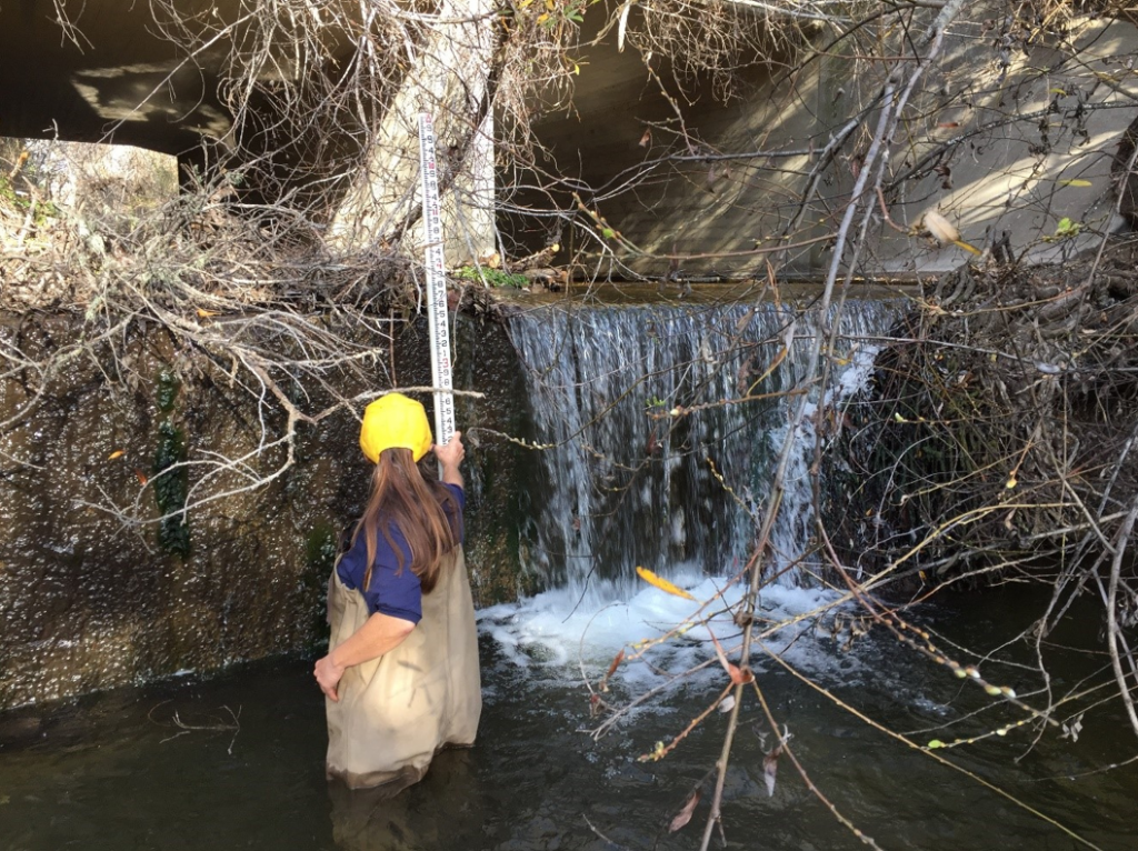 A fish passage barrier located along San Luisito Creek blocks fish access to great habitat upstream unless water levels are unusually high. Fish barriers can be due to low water levels or obstructions in the creek as shown here. 